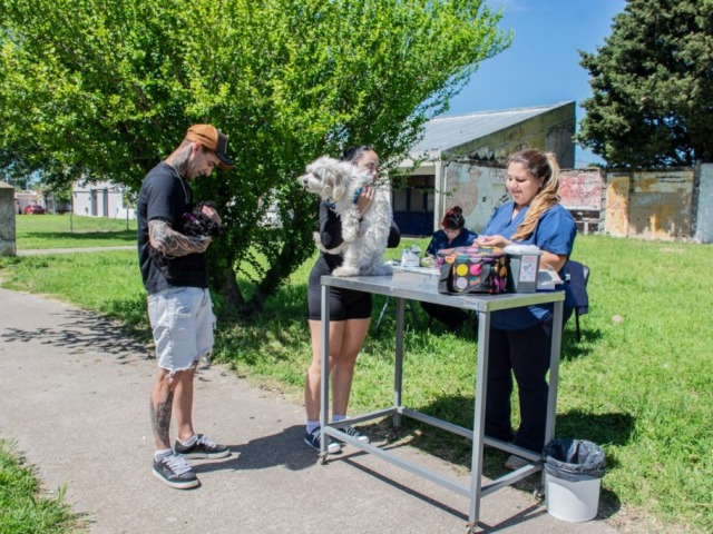 Esta semana contina la campaa de vacunacin antirrbica