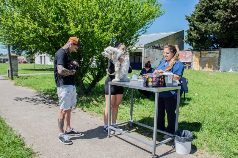 Vacunacin antirrbica: el cronograma de diciembre