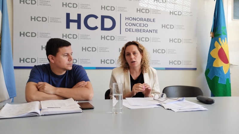 Bezzoni explic� el Presupuesto 2026 en el HCD