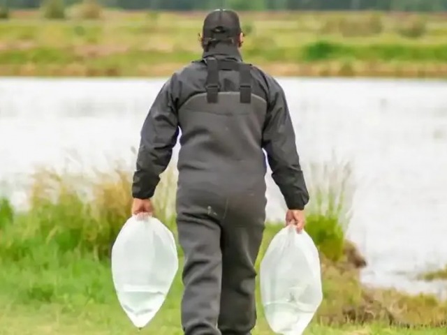 La laguna Blanca Grande recibi� 70 mil alevinos de pejerrey