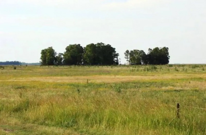 En Olavarr�a, 25 mil hect�reas est�n en manos extranjeras