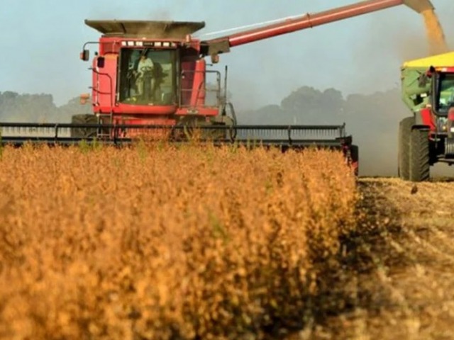 Trigo y cebada logran los mejores rindes en 8 a�os pese a las heladas