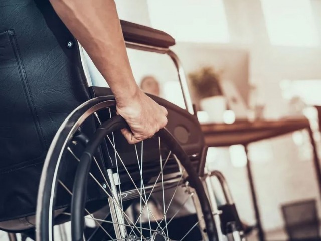 El Gobierno reglament� la Ley de Emergencia en Discapacidad