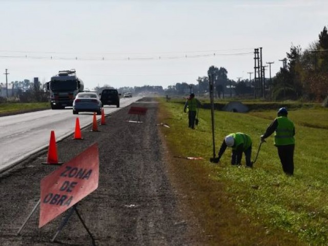 9 de Julio: el municipio impulsa la siembra en las banquinas de la ruta