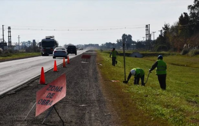 9 de Julio: el municipio impulsa la siembra en las banquinas de la ruta