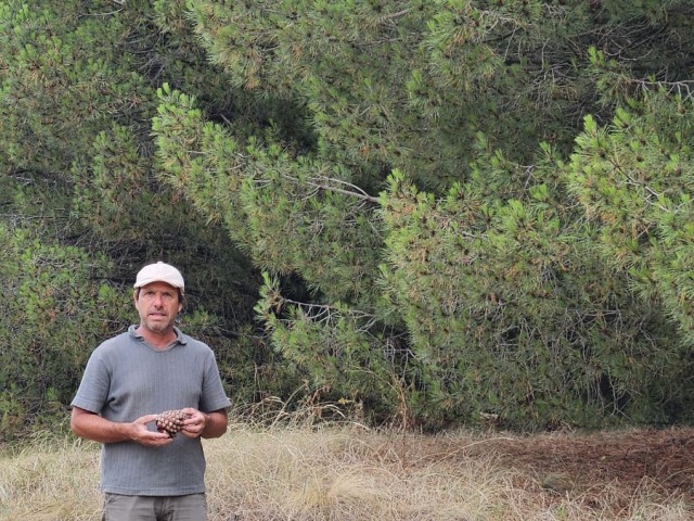 El emprendedor que exporta pi�ones desde Claromec�