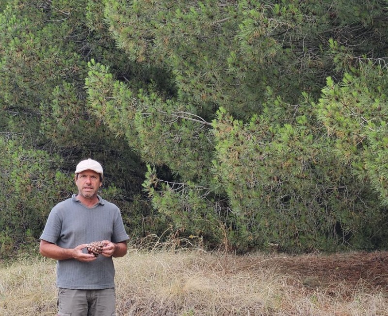 El emprendedor que exporta pi�ones desde Claromec�