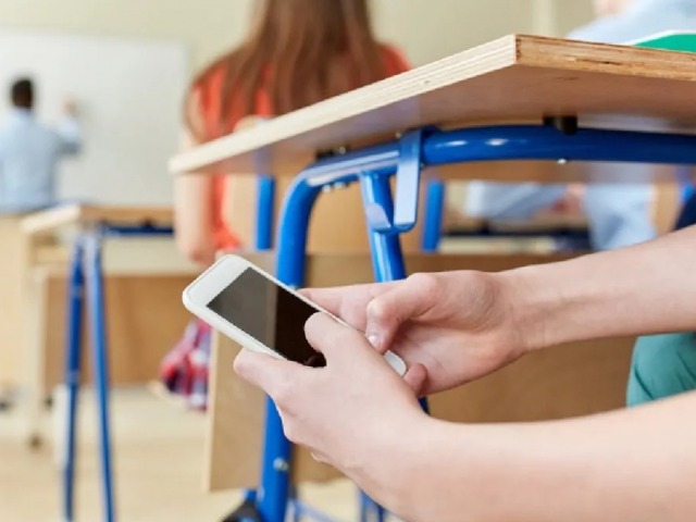 Rige la prohibici�n de celulares en las primarias bonaerenses