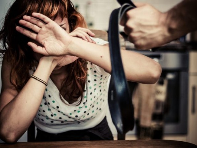 Informe sobre violencia de g�nero en la Provincia durante 2025