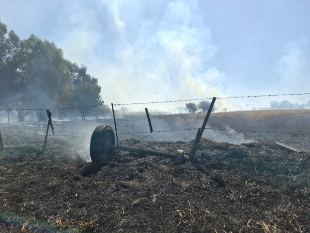 Verano intenso para Bomberos: m�s de 550 intervenciones