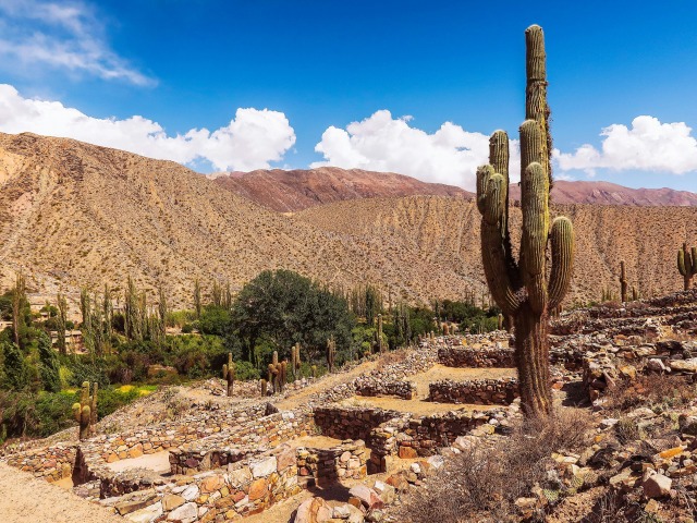 Carnaval de Jujuy: tradici�n, color y alegr�a en el norte argentino