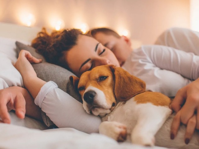 Ayer cuchas y cadenas, hoy familia multiespecie