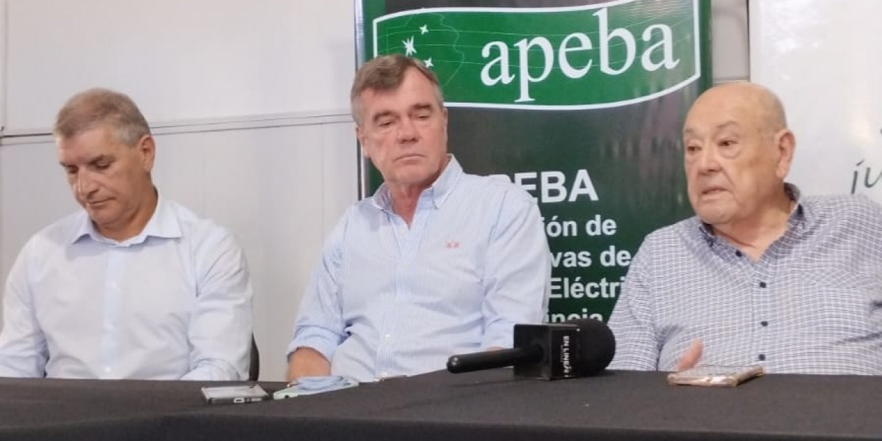 Apeba pint� la situaci�n de las cooperativas el�ctricas