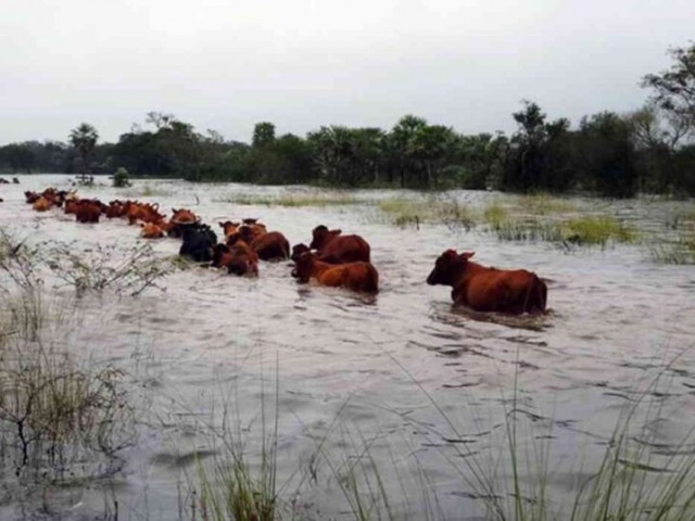 Los parques e�licos y la inundaci�n en Recalde