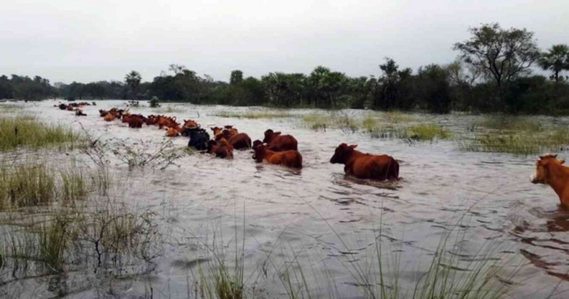 Los parques e�licos y la inundaci�n en Recalde