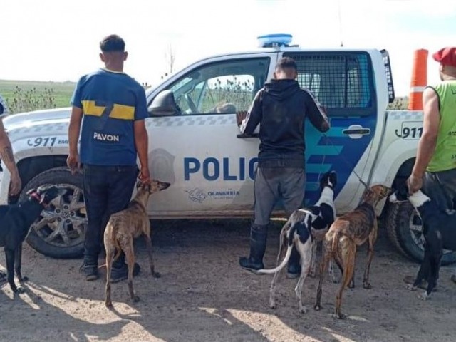Cazaban con galgos y terminaron demorados