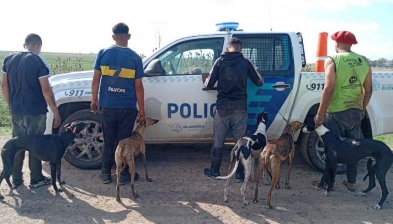Cazaban con galgos y terminaron demorados