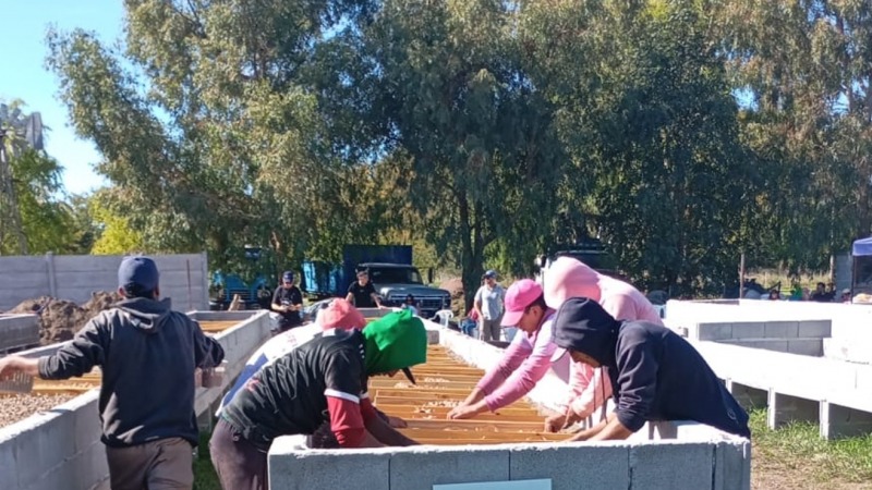 Azafr�n, el oro rojo que est� naciendo en Olavarr�a