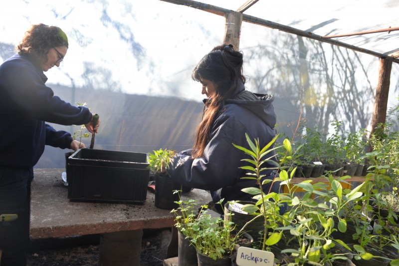 Puesta en marcha del Vivero de Plantas Nativas en el �La M�xima�