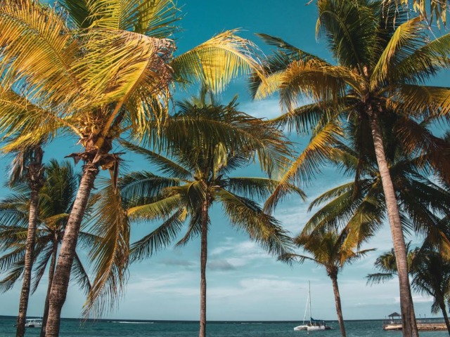 Jamaica: un viaje al Caribe m�s aut�ntico