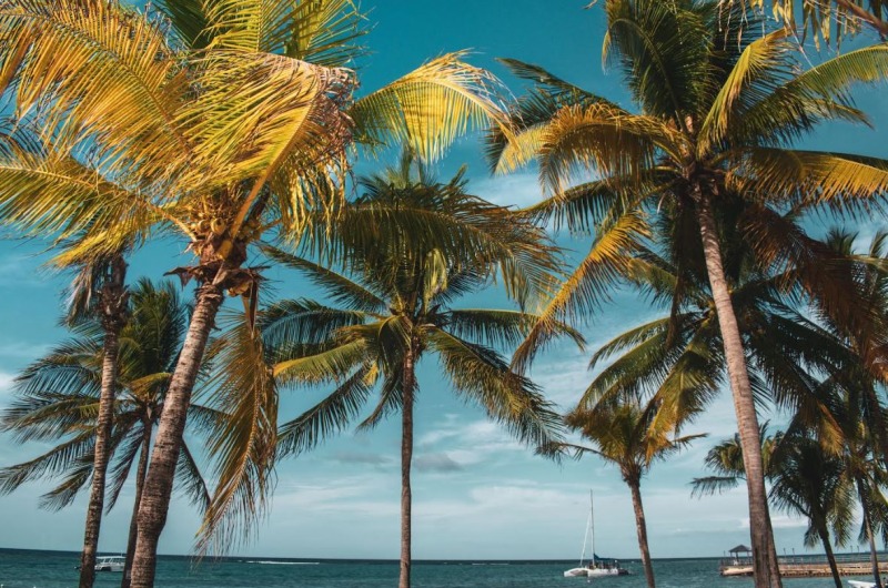 Jamaica: un viaje al Caribe m�s aut�ntico