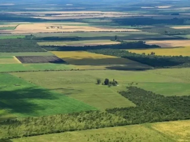 En Olavarr�a hay m�s de 25 mil hectareas en manos extranjeras