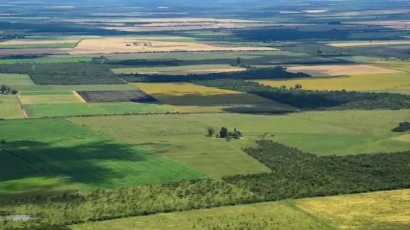 En Olavarr�a hay m�s de 25 mil hectareas en manos extranjeras
