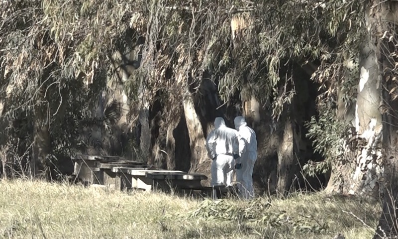 Adelanto: el cadver encontrado tena un disparo mortal